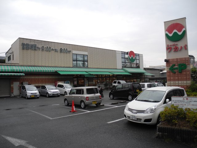 クリエオーレ若葉町の周辺|近くのスーパー