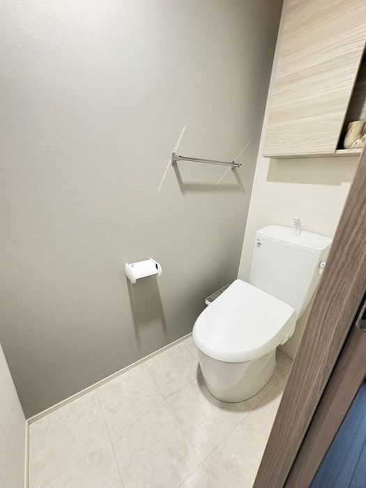 D-residence南蔵王町1丁目Eのトイレ