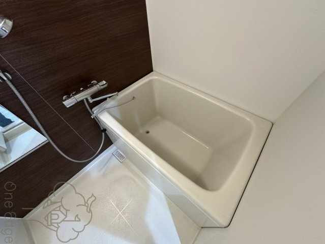 シティハイツサルキの浴室