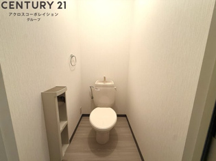 トイレ頭上に収納あります！