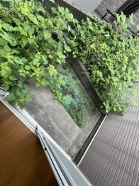 松葉宛のその他物件画像