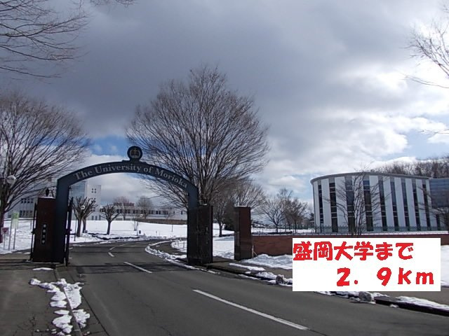 ソシアノールＩの周辺|盛岡大学まで2900m