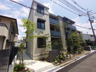 Cocoonia（コクーニア）の画像