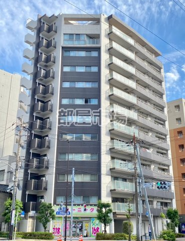 レシオイシワラの外観