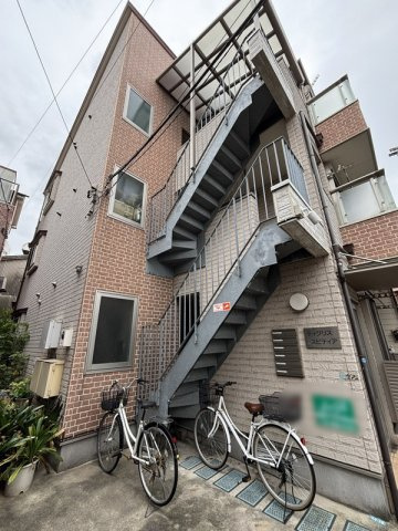 ティグリススピティアのその他|74792392_5.jpg