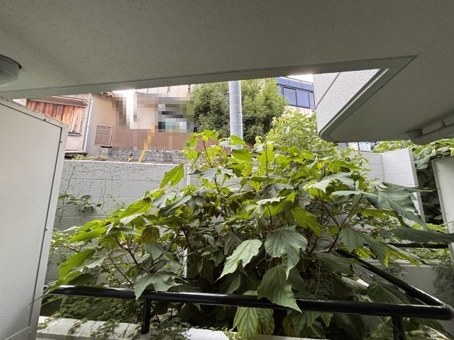 ワコーレ篠原中町の展望