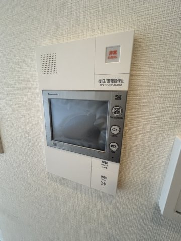 スプランディッドXI(イレブン)のその他