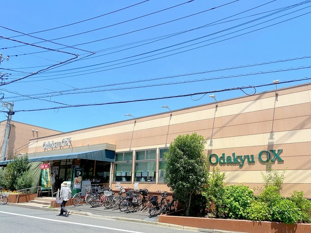 フォレスト井の頭のその他|OdakyuOX三鷹台店
