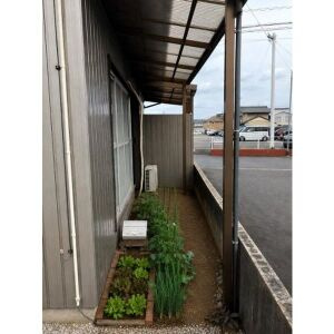 野白町葭場 平屋西号室の庭