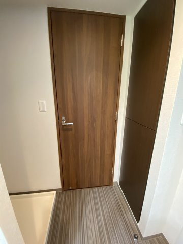 アーバンドックパークシティ豊洲タワーAの洗面所|使いやすい洗面所です