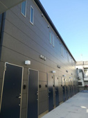 ＨｉｌｌｏｃｋＳｔｏｎｅＦｕｎａｂｏｒｉの画像