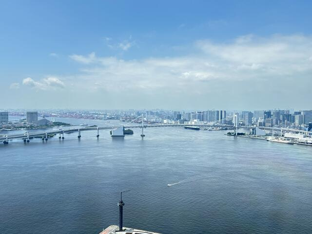 ＨＡＲＵＭＩ　ＦＬＡＧ　ＰＡＲＫ　ＶＩＬＬＡＧＥ　Ｔ棟の展望|100137658444_10.jpg