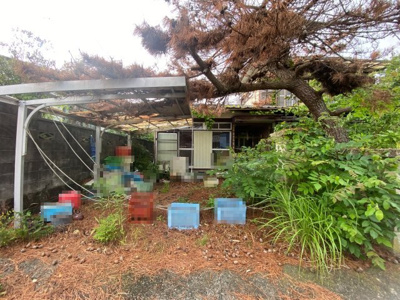 【庭】 | 茨城県日立市塙山町2丁目【古家付土地】