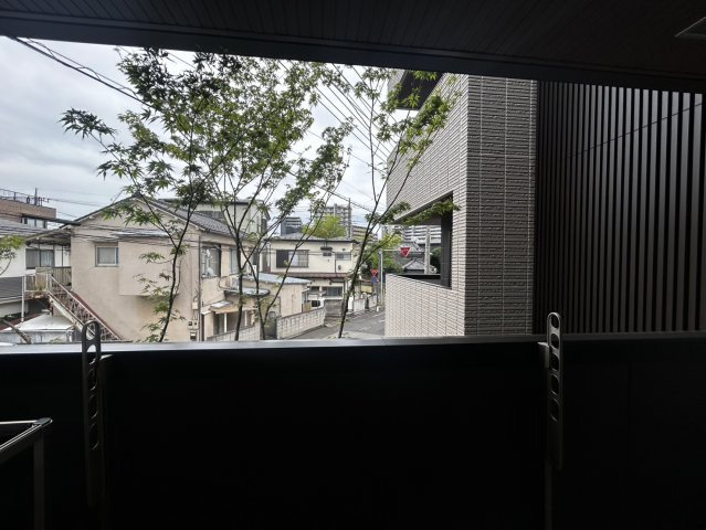 （シニア限定）SHIMANOの展望|展望