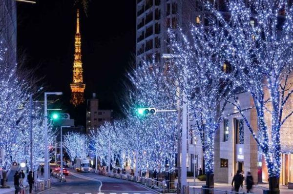 【その他】 | テラス麻布十番