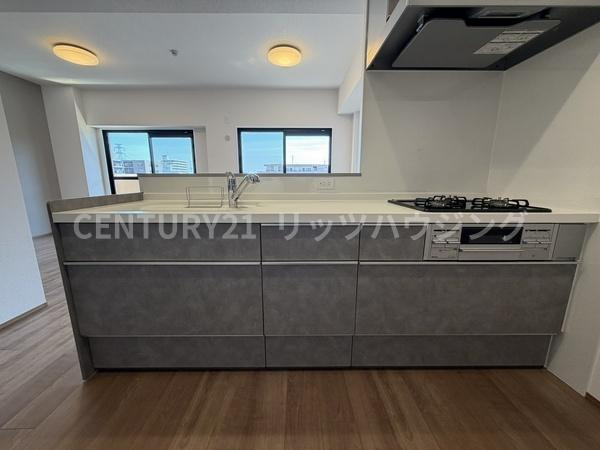 ダイアパレス樟葉　中古 マンションのキッチン