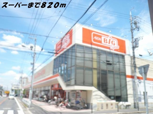 グレイス　ヒルズ　Ⅰの周辺|ビッグまで820m
