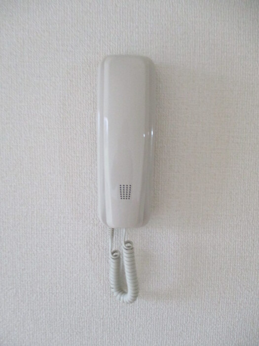 リーベンルーチェのセキュリティ