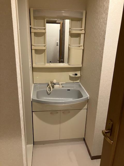 スカイコート新高円寺の洗面所