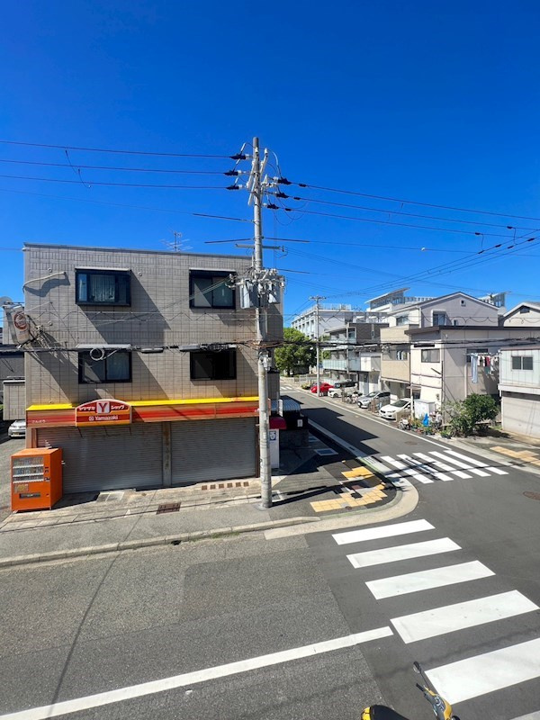 ベーシックコートの展望