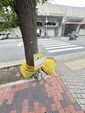 メゾン琵琶のその他共用部分
