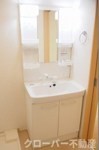 メゾン　ド　クレールＡの洗面所