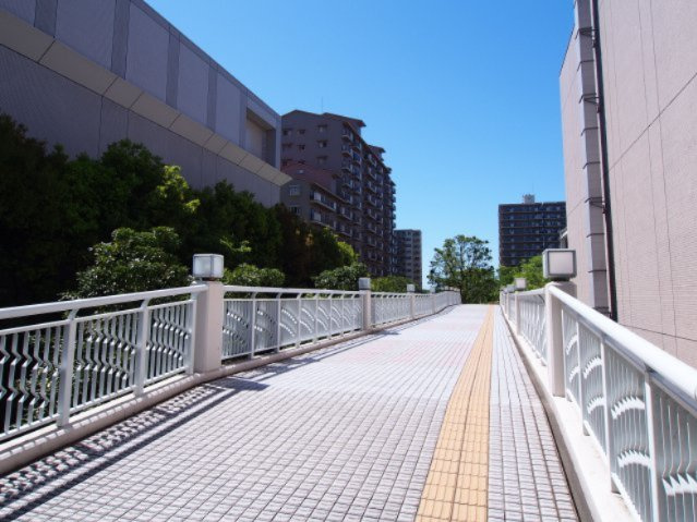 マンションの敷地内