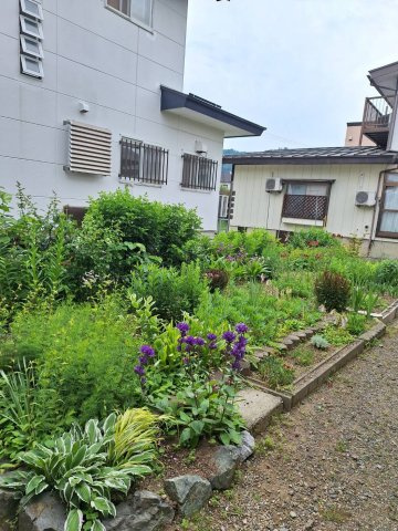 【庭】 | 米沢市林泉寺１丁目　二階建て中古住宅