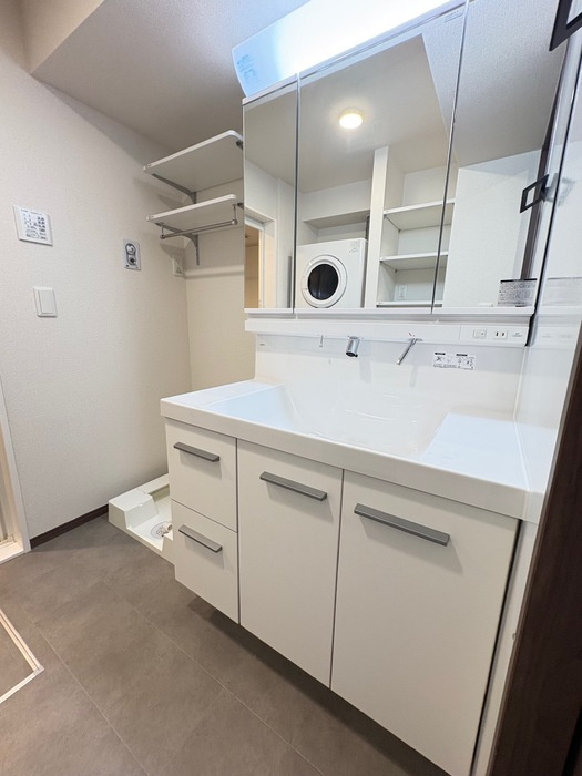 D-residence南蔵王町1丁目Wの独立洗面台