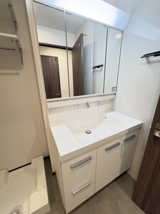 D-residence南蔵王町1丁目Wの独立洗面台