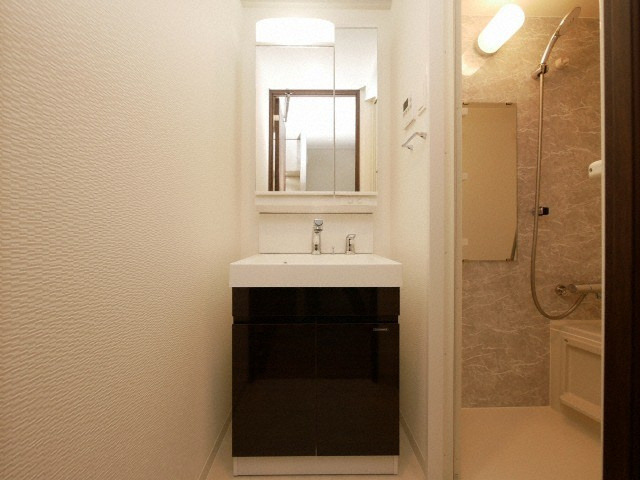 S-RESIDENCE福島Alovitaの洗面所