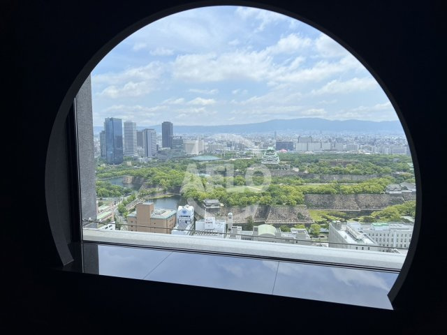 ザ・ファインタワー大手前　中大江小学校区の展望|ザ・ファインタワー大手前　こちらからも大阪城が見え、春は桜がきれいです。