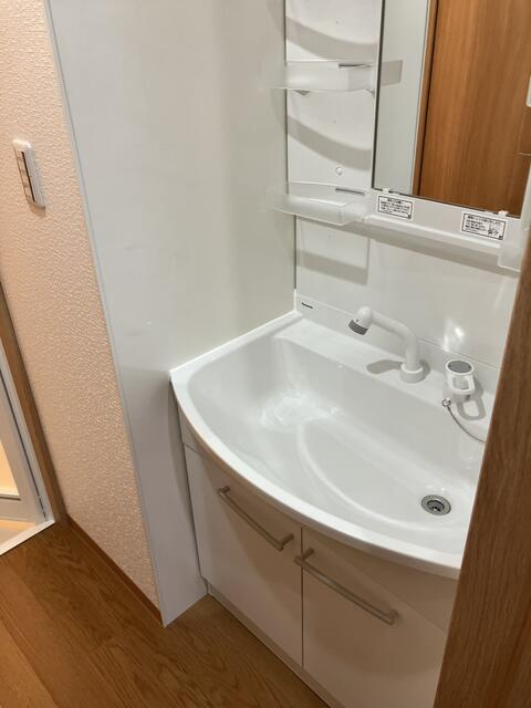 中村貸家の洗面所