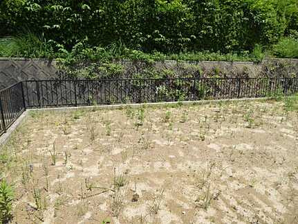 安佐北区口田5丁目の外観