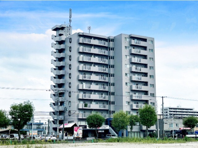 シャンブルドロア菊水