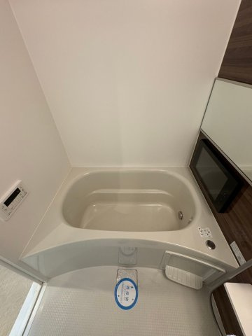 プレジオ難波ASIANの浴室