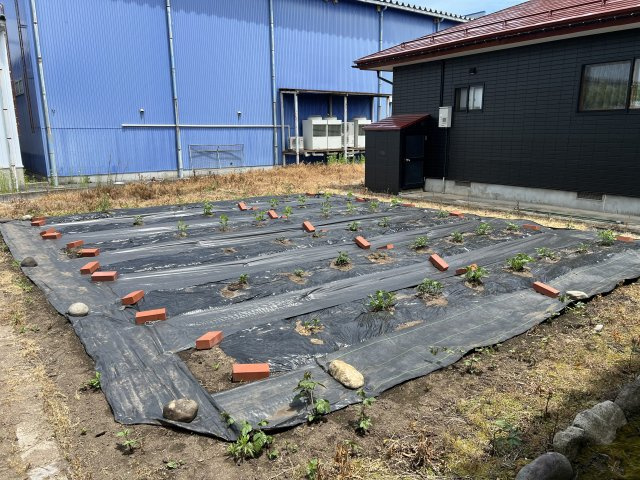 米沢市成島町３丁目　二階建て中古住宅の外観