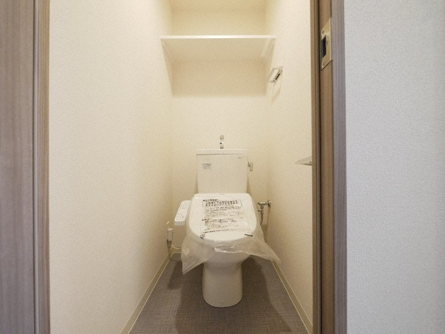 プレサンス谷町九丁目ディセオのトイレ