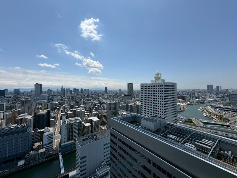 ザ・パークハウス中之島タワー　西天満小の展望|眺望