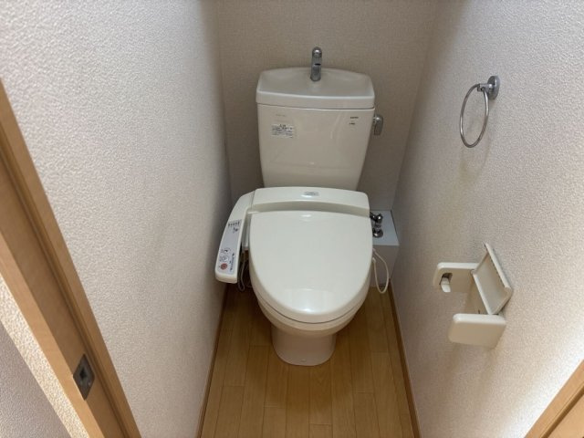 レオパレスキルシュバウムのその他