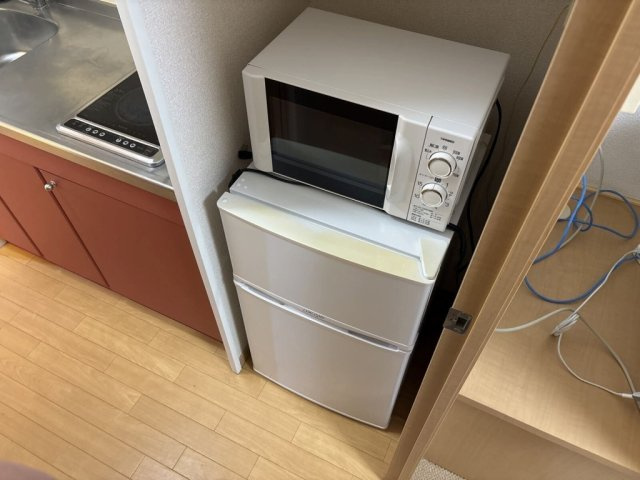 レオパレスキルシュバウムのその他