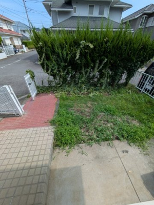 庭