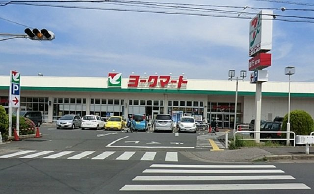 オーブソレイユの周辺|ヨークマート　南元宿店まで500m