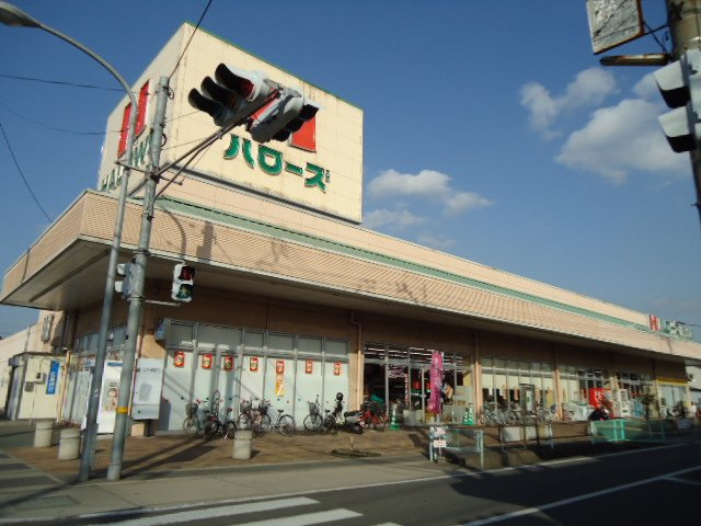 ルピナスの周辺|ハローズ手城店まで551ｍ