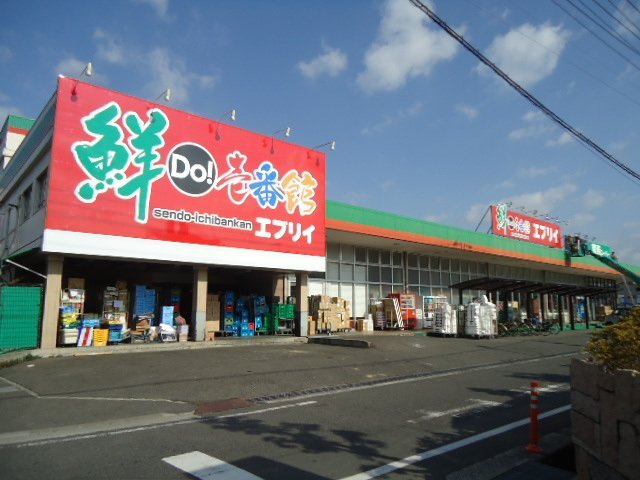 アンジーの周辺