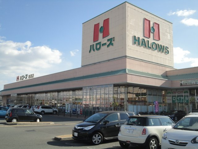 愛瑠の周辺|ハローズ新涯店（スーパー）まで314ｍ