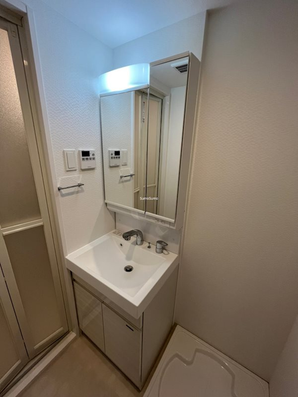 S-RESIDENCE堺筋本町Unoの洗面所