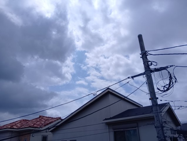 【展望】
