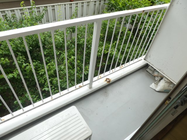 陽当たり良好