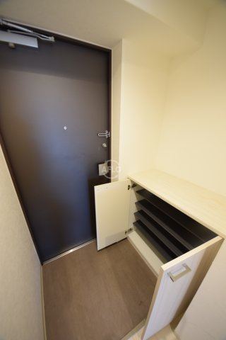 グランデュール大今里西の玄関|グランデュール大今里西　玄関